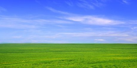 Grennbeans42 hd star image