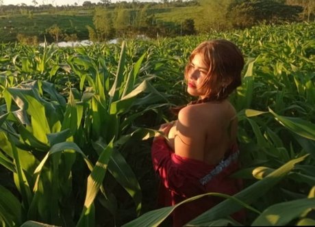 MOVEP96 star free pictures