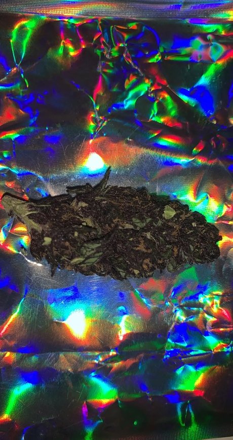 Alexander the Great star erotic photos