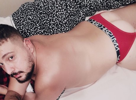 HorrorBear star nice photo