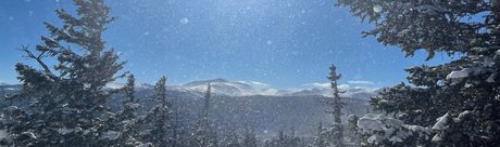 Alisha Dallas pornstar sex picture