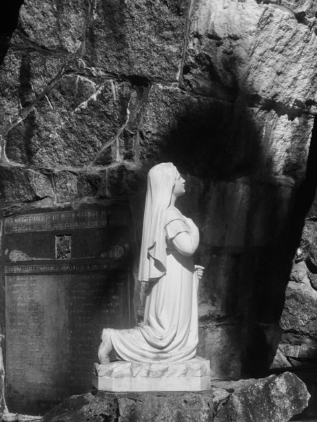 Ms Behaving Badly star free archive