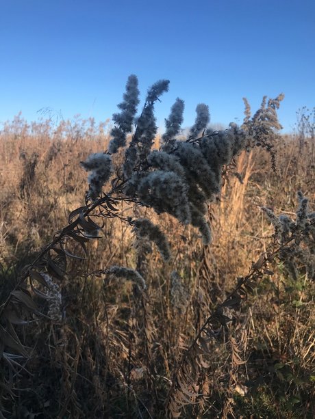 harper pornstar naked pictures