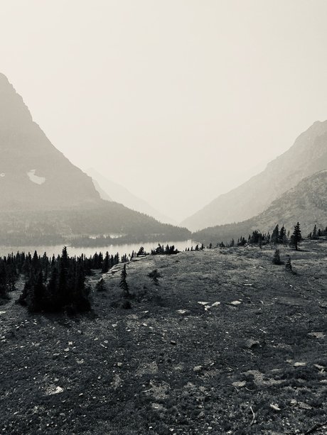 Allie Q V I P_ best star pictures