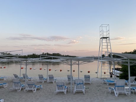 Ms Catty adult star photo