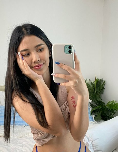 Sandydao best star image