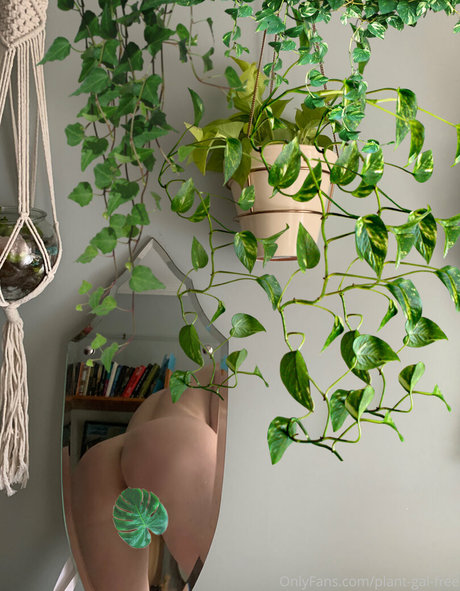 plantgalfree top model image