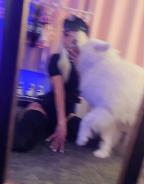 HowToMia high quality star pictures