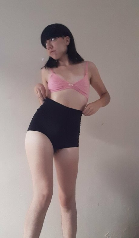 vivibush free model image