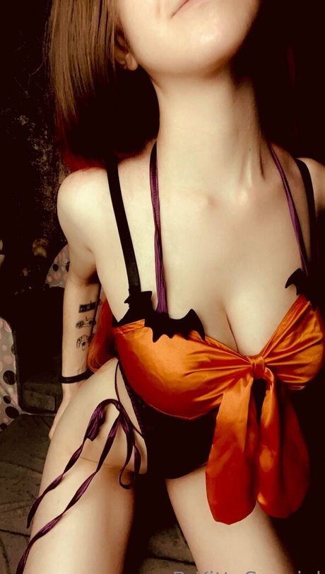 b kittyspecial star beautiful pictures