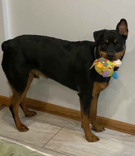 mother daughter onlyfans nude archive