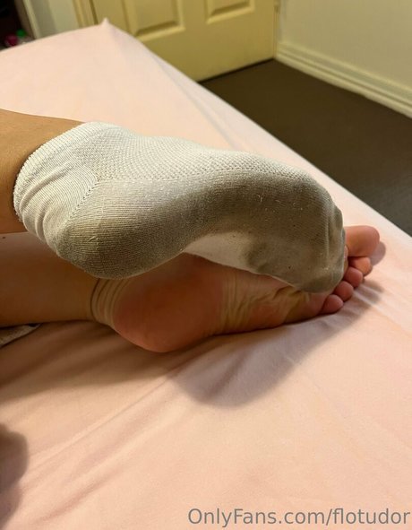 flotudor art star pictures