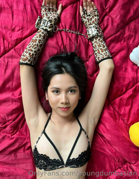 youngdumbasian nice star galleries