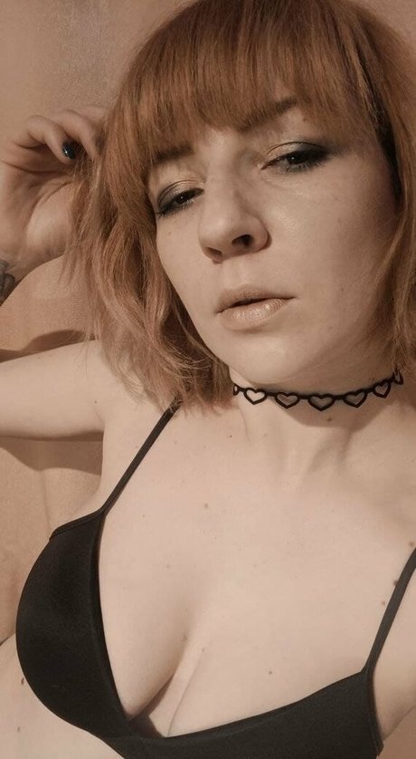 anitanelson hd star archive