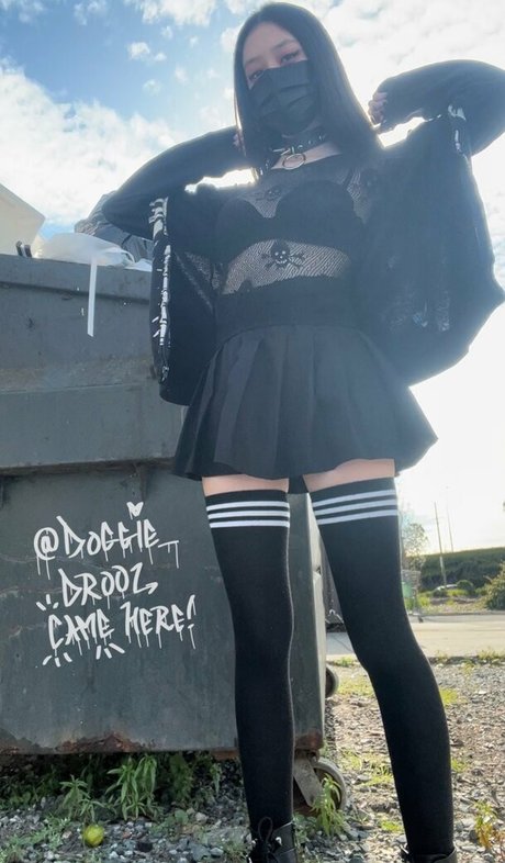 Doggie Drool perfect star images