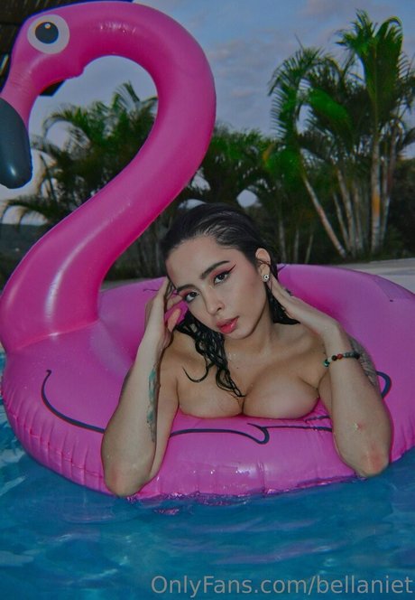 bellaniet high quality star img