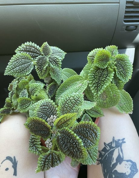 small dick onlyfans art naked archive