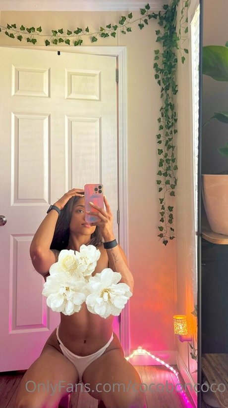 cocofreda pornstar top img