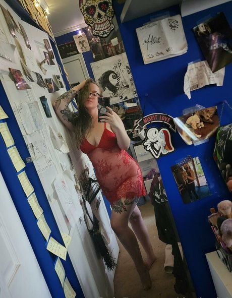 daninoir1 star perfect pictures