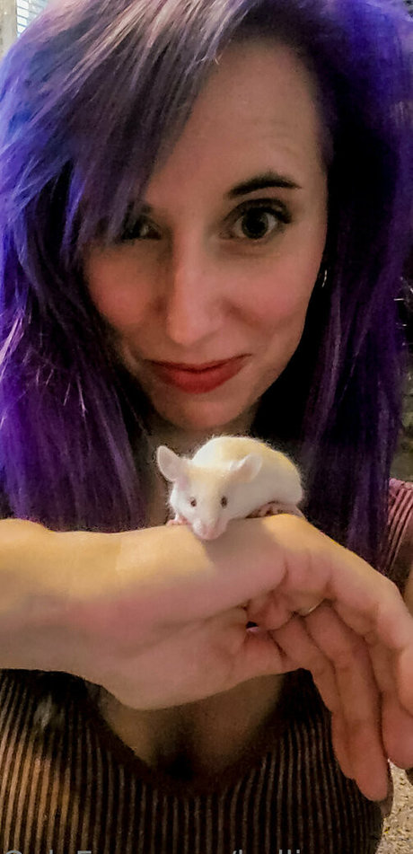 halliegregor exclusive star pictures