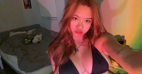 Wahoopunch star erotic img