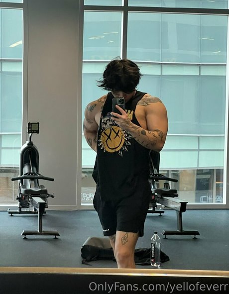 will pyun high quality star archive