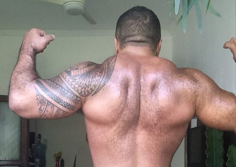 Musclebearbrazil pornstar top pics