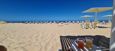 Muscle Boy high quality pornstar pictures