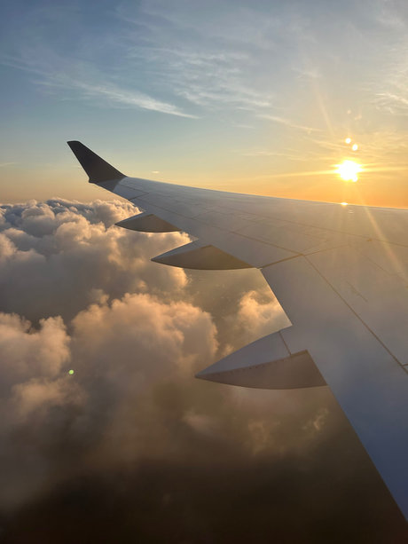 Mulaan top pornstar img