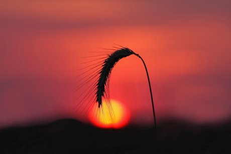 FloriS model sexy pics