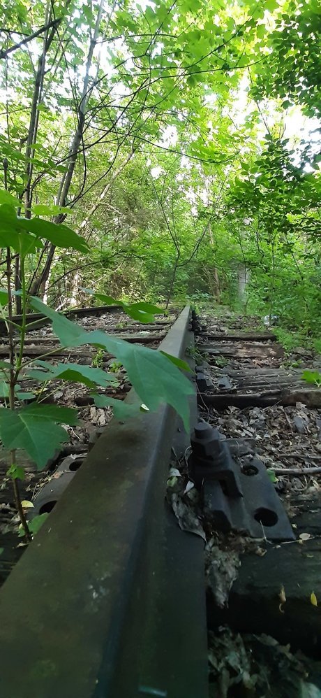 FloriS pornstar exclusive archive