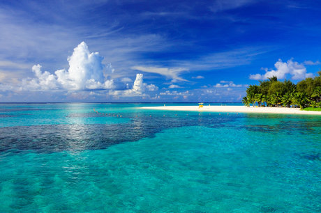 __takeshi_ actress archive