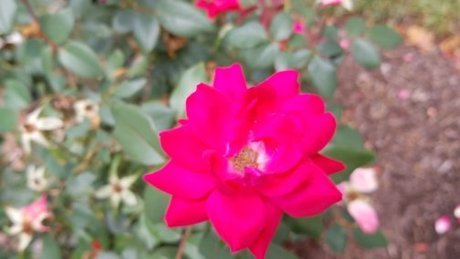 Raivennxi model nudes images