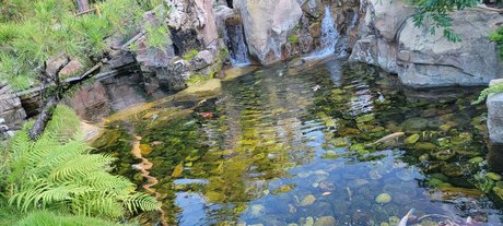 Mystibabe nudes star photos