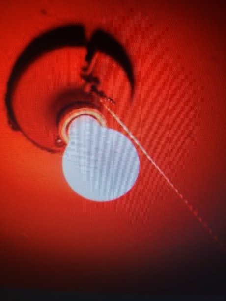 pawg teen onlyfans nice images