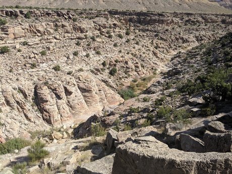 spin the wheel onlyfans hot naked img