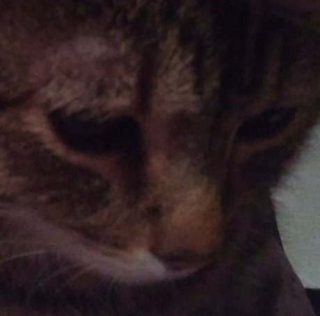 PussyPicsLimited 3 model exclusive picture