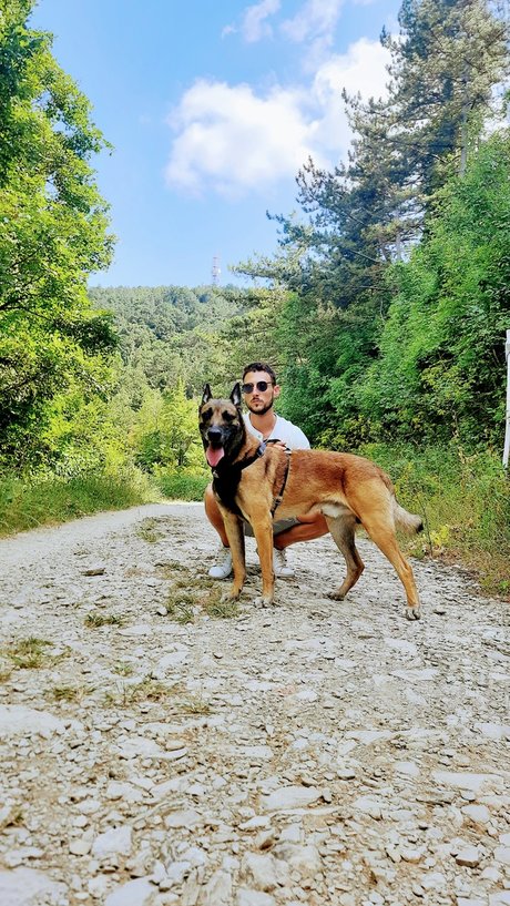 GB Dog Trainer pornstar erotic archive