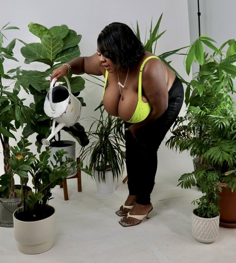 Da Plump nudes model image