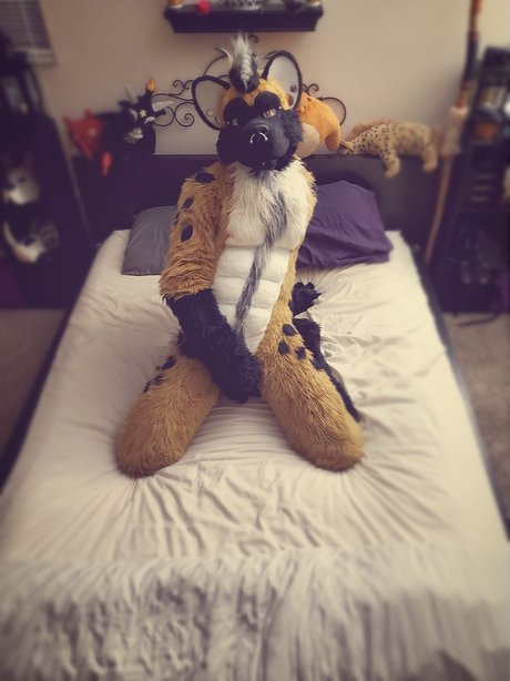 Big Daddy Steel hd pornstar archive