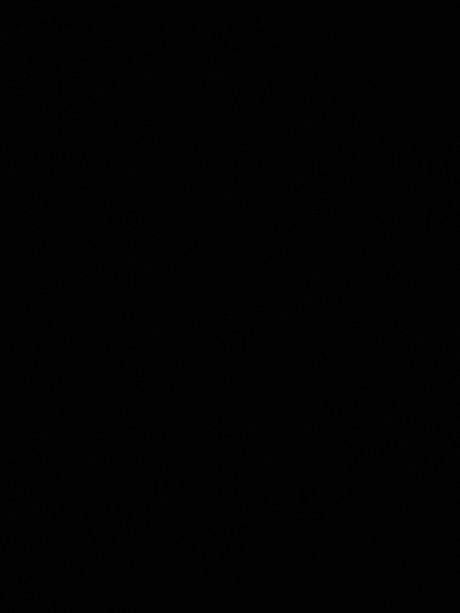 Nasty dutch top star picture