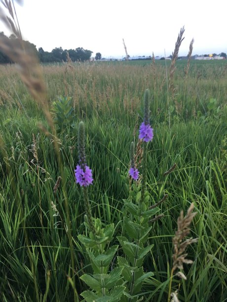 Narina pornstar nude image