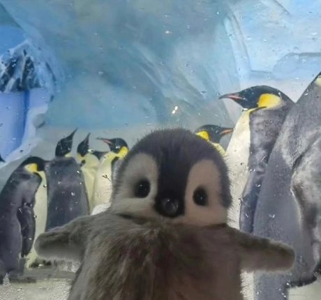 _DD_ xxx model galleries