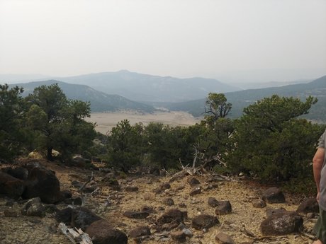 Angell Meep hd model img