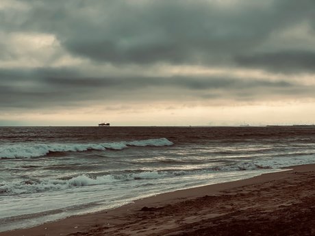 DixonRiley model nude galleries