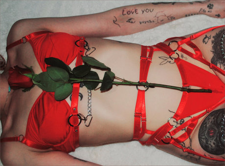 DJNes ssA_ star porn gallery