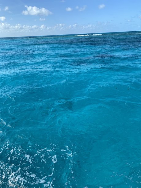 Cameron Keene art star archive