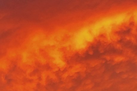 naturalnaturegrl pornstar art archive