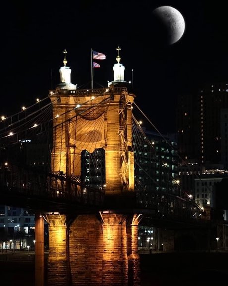 Natibred Viking model perfect photo