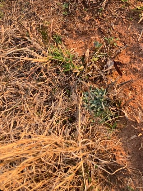 u223611483 model art gallery